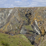 C1000 M Kynance cove 81