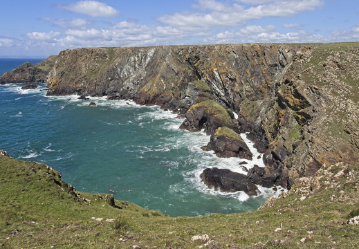 C1000 M Kynance cove 82