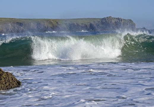 C1000 M Kynance cove 89