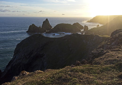 C1000 M Kynance cove 96