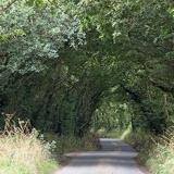 C1000 N Trebetherick 98