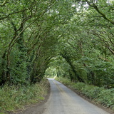 C1000 N Trebetherick 99