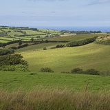 C1000 O Exmoor 20