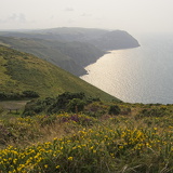 C1000 O Exmoor 47