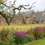 C1000 Q Cleeve Abbey 84