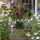 C1000 Q Lynton-Lynmouth 06