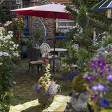 C1000 Q Lynton-Lynmouth 07