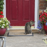 C1000 Q Lynton-Lynmouth 33