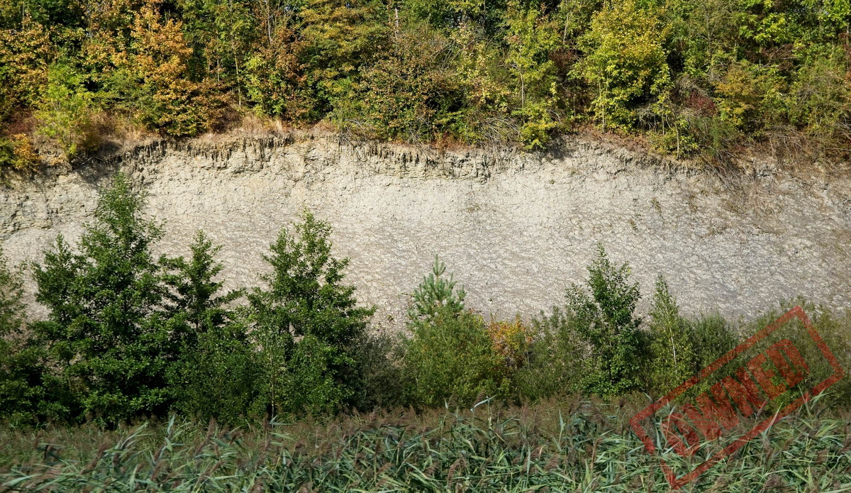 C1000_OM1I6219_ON1.jpg