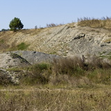 C1000 Mistelgau ##OM1I6261 ON1 (337 Besuche) C1000 Mistelgau ##OM1I6261 ON1