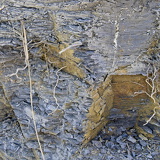 C1000 Mistelgau ##OM1I6265 ON1 (328 Besuche) C1000 Mistelgau ##OM1I6265 ON1