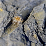 C1000 Mistelgau ##OM1I6268 ON1 (314 Besuche) C1000 Mistelgau ##OM1I6268 ON1