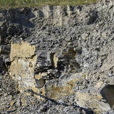 C1000 Mistelgau ##OM1I6274 ON1 (262 Besuche) C1000 Mistelgau ##OM1I6274 ON1