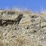 C1000 Mistelgau ##OM1I6276 ON1 (238 Besuche) C1000 Mistelgau ##OM1I6276 ON1