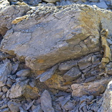 C1000 Mistelgau ##OM1I6277 ON1 (270 Besuche) C1000 Mistelgau ##OM1I6277 ON1