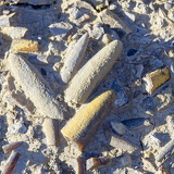 C1000 Mistelgau ##OM1I6288 ON1 (258 Besuche) C1000 Mistelgau ##OM1I6288 ON1