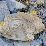 C1000 Mistelgau ##OM110567 ON1 (290 Besuche) C1000 Mistelgau ##OM110567 ON1