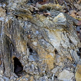 C1000 Mistelgau ##OM110570 ON1 (280 Besuche) C1000 Mistelgau ##OM110570 ON1