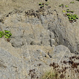 C1000 Mistelgau ##OM110573 ON1 (258 Besuche) C1000 Mistelgau ##OM110573 ON1