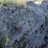 C1000 Mistelgau ##OM110574 ON1 (294 Besuche) C1000 Mistelgau ##OM110574 ON1