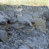 C1000 Mistelgau ##OM110579 ON1 (270 Besuche) C1000 Mistelgau ##OM110579 ON1