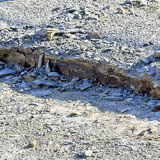 C1000 Mistelgau ##OM110584 ON1 (264 Besuche) C1000 Mistelgau ##OM110584 ON1