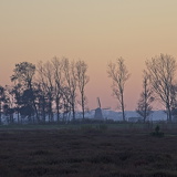 Holland - 03 - Bergen 02