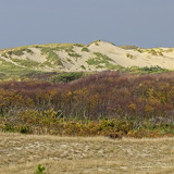 Holland - 03 - Bergen 08