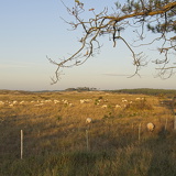 Holland - 03 - Bergen 09