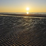 Holland - 03 - Bergen 10