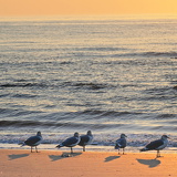 Holland - 03 - Bergen 12