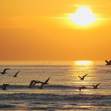 Holland - 03 - Bergen 21