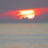 Holland - 03 - Bergen 23