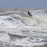 Holland - 03 - Bergen 28