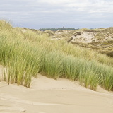 Holland - 03 - Bergen 32