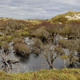 Holland - 03 - Bergen 35