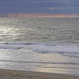 Holland - 03 - Bergen 36