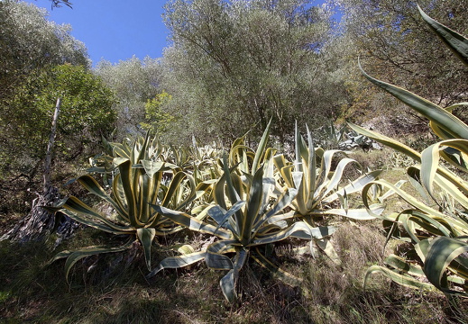 comp 20251007 140818 ON1