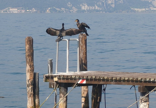 comp 20251009 133440