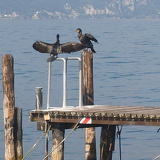 comp 20251009 133440