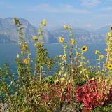 comp 20251009 140645