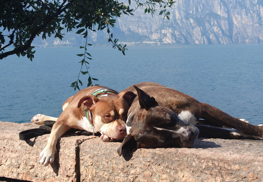 comp 20251009 140807