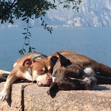 comp 20251009 140807