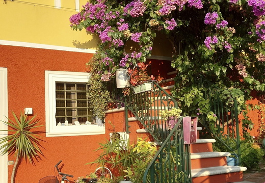 comp 20251009 170928 ON1