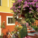 comp 20251009 170928 ON1