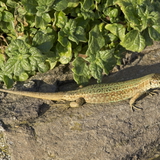 Nordspanien 26 007