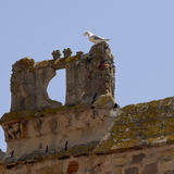 Nordspanien 26 061