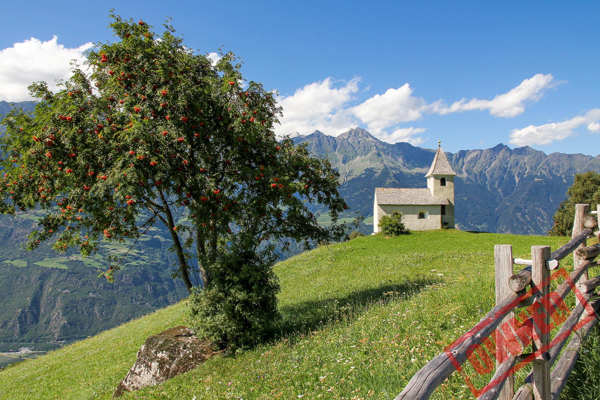 Eberesche, Südtirol